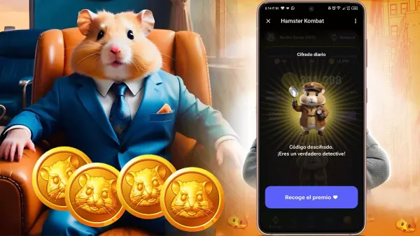 Hamster Kombat Crypto CEO