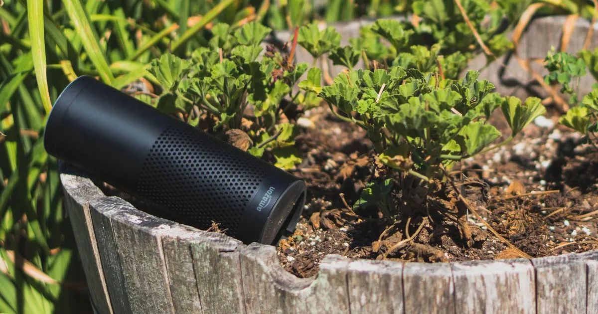 How Your Amazon Echo Speaker Can Be the Best Garden