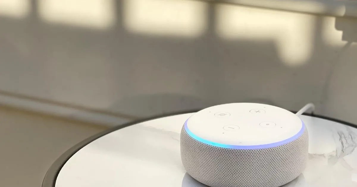 Should You Put an Amazon Echo in Every Room of