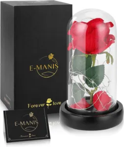 Enchanted Red Silk Rose, Beauty and the Beast Rose with Fallen Petals