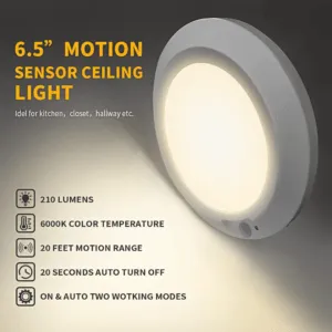 Motion Sensor Ceiling Light Battery Operated Sensor Light Indoor