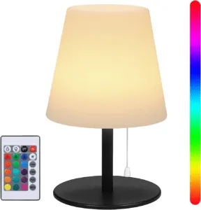 USB Rechargeable Table Lamp with Remote Control