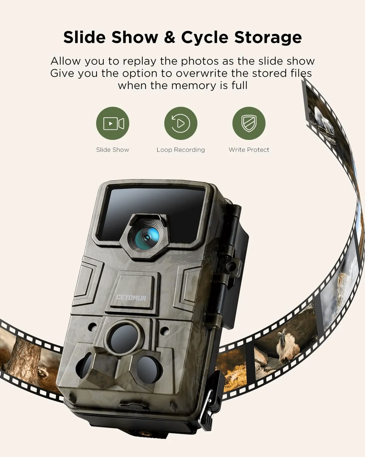 Trail Camera with Night Vision