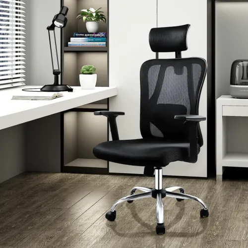 Desk Chair with Adjustable Headrest
