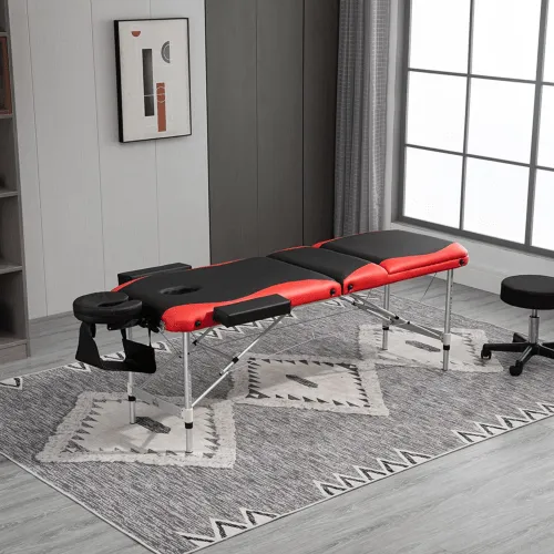 Foldable Massage Table Professional Salon SPA Facial Couch Bed