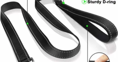 Dog Lead With Two Padded Handles for Two Dog Leads Modes