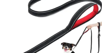 Dog Lead With Two Padded Handles