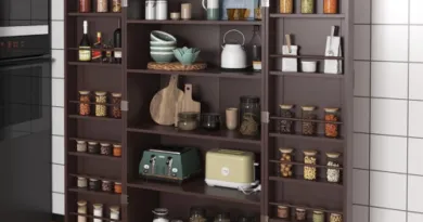 Kitchen Cupboard Pantry Organizer and Storage with Doors