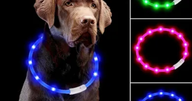 Dog Lights Collar for Night Walking USB Rechargeable