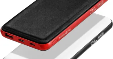 PowerBank Fast Charging USB C Input and Output Dual Pack