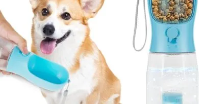 Portable Dog Water Dispenser with Food Container