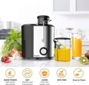 Fruit and Vegetable Compact Juicer Extractor