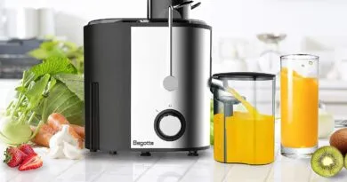 Fruit and Vegetable Compact Juicer Extractor