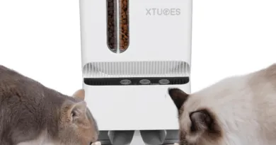 Automatic Cat Feeder Double Hopper Smart Pet Dry Food Dispenser