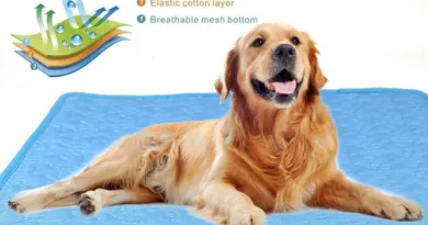 Self Cooling Pet Dog Mat Cooling Mat for Pet