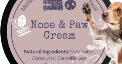 Dog Nose and Paw Cream Moisturiser and Conditions