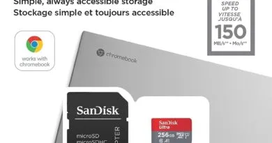 SanDisk Ultra 256GB microSDXC UHS-I Card