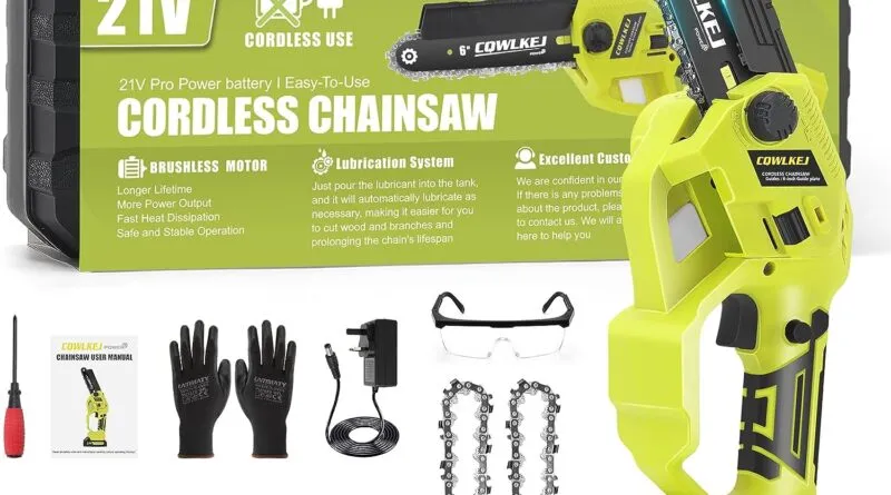 Mini Chainsaw Cordless Electric Pruning Chain Saw with Replacement Chain