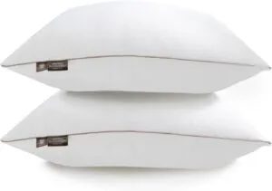 Premium 2-Pack Bamboo Fiber Sleeping Bed Pillows Super Soft and Hypoallergenic