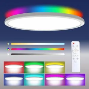Illuminate Your Space: 24W Dimmable LED Ceiling Light with Remote Control