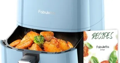 Mastering Delicious Meals The Fabuletta 4L Air Fryer Unveiled