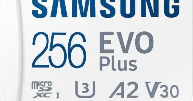 Samsung MicroSDXC 256GB EVO Plus