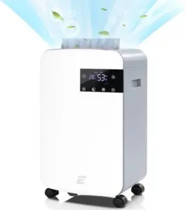 Efficient 10L/Day Home Dehumidifier: A Silent Solution for Ideal Indoor Comfort