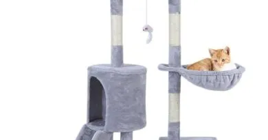 Premium 143cm Cat Tree: The Ultimate Indoor Playground for Your Kitty