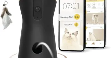 Why You Need the Furbo 360° Cat Camera to Keep Your Cat Happy and Healthy