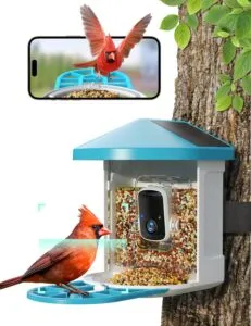 Observe Nature Up Close with the Smart Bird Feeder Camera