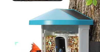 Observe Nature Up Close with the Smart Bird Feeder Camera