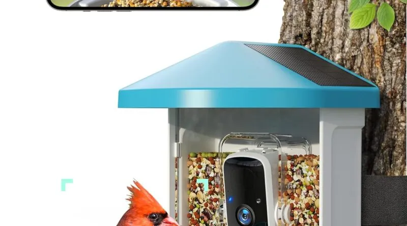 Observe Nature Up Close with the Smart Bird Feeder Camera