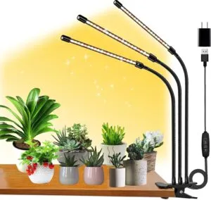 Try the Power of FRGROW Grow Lights for Indoor Plants with Full Spectrum