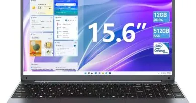 Unleash Productivity: SGIN 15.6 Inch Laptop with 12GB RAM and 512GB SSD!