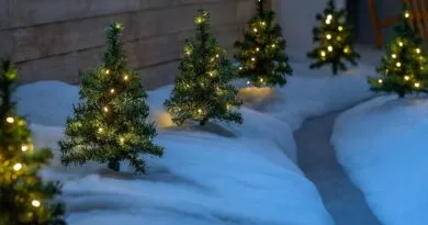 Illuminate Your Pathway with WeRChristmas Pre-Lit Christmas Tree Pathway Light Decorations