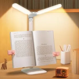 Light Up Your Life: Conquer Clutter & Conquer Darkness with the BIBURY 2-in-1 Desk Dynamo!