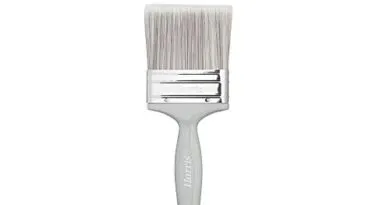 Paintbrush