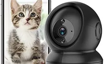 Wireless security cameras