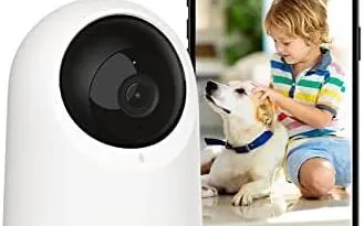 Home security cameras