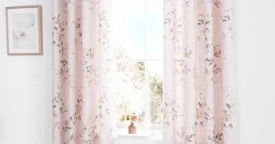 Curtain