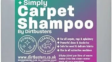 Carpet cleaner