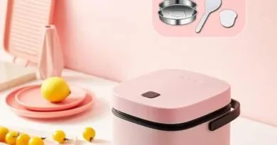 Rice cooker