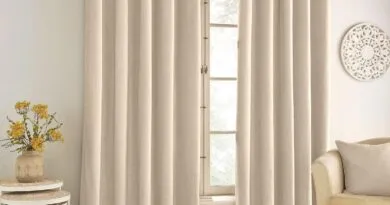 Curtain