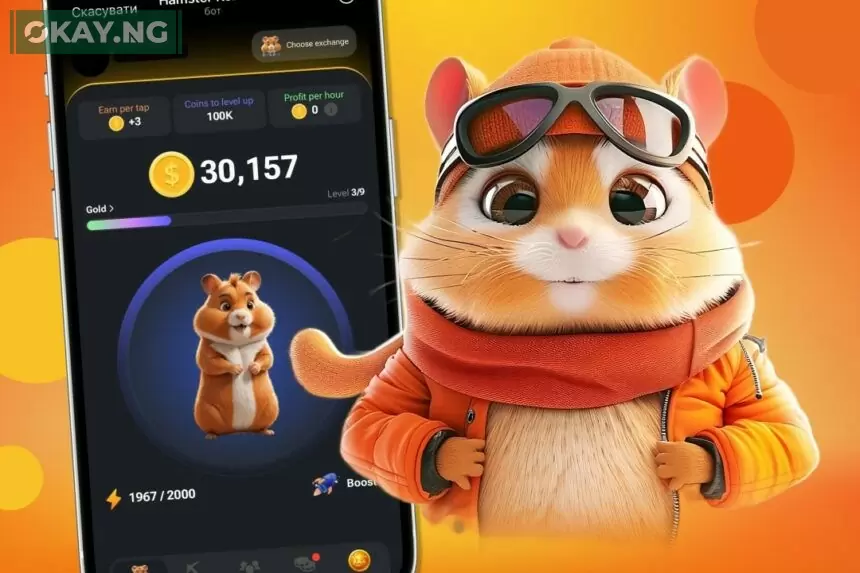 Hamster Kombat Crypto CEO