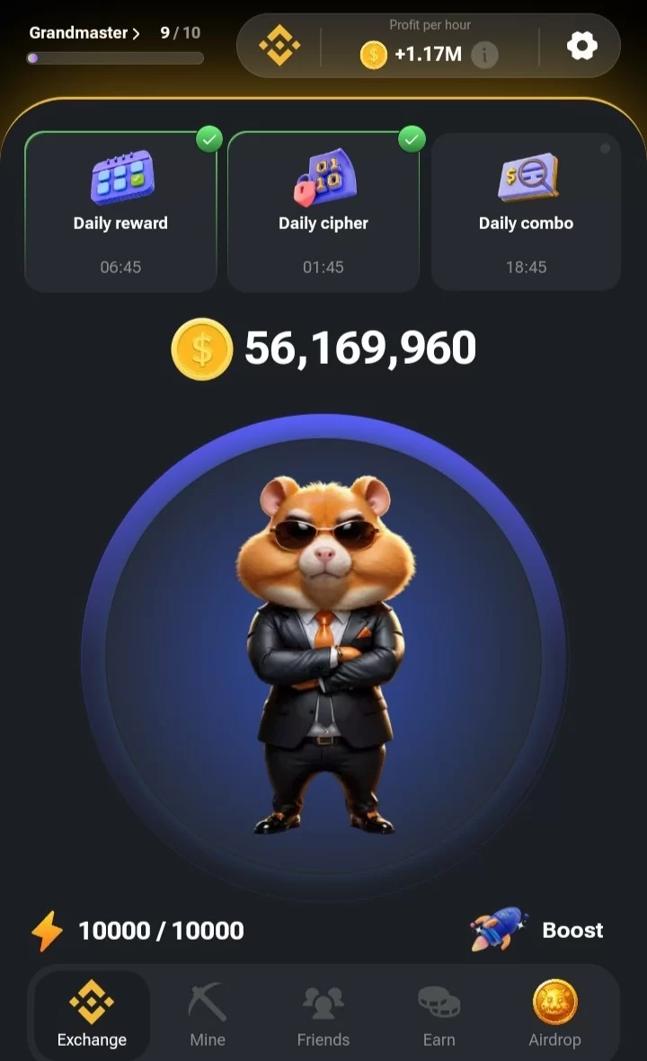 Hamster Kombat Crypto CEO