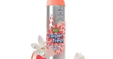 Carpet cleaner