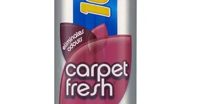 Carpet cleaner