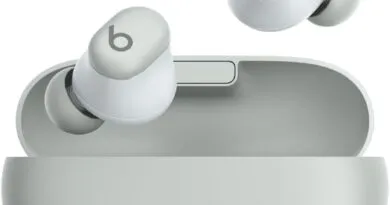 Wireless earbuds