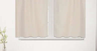 Curtain